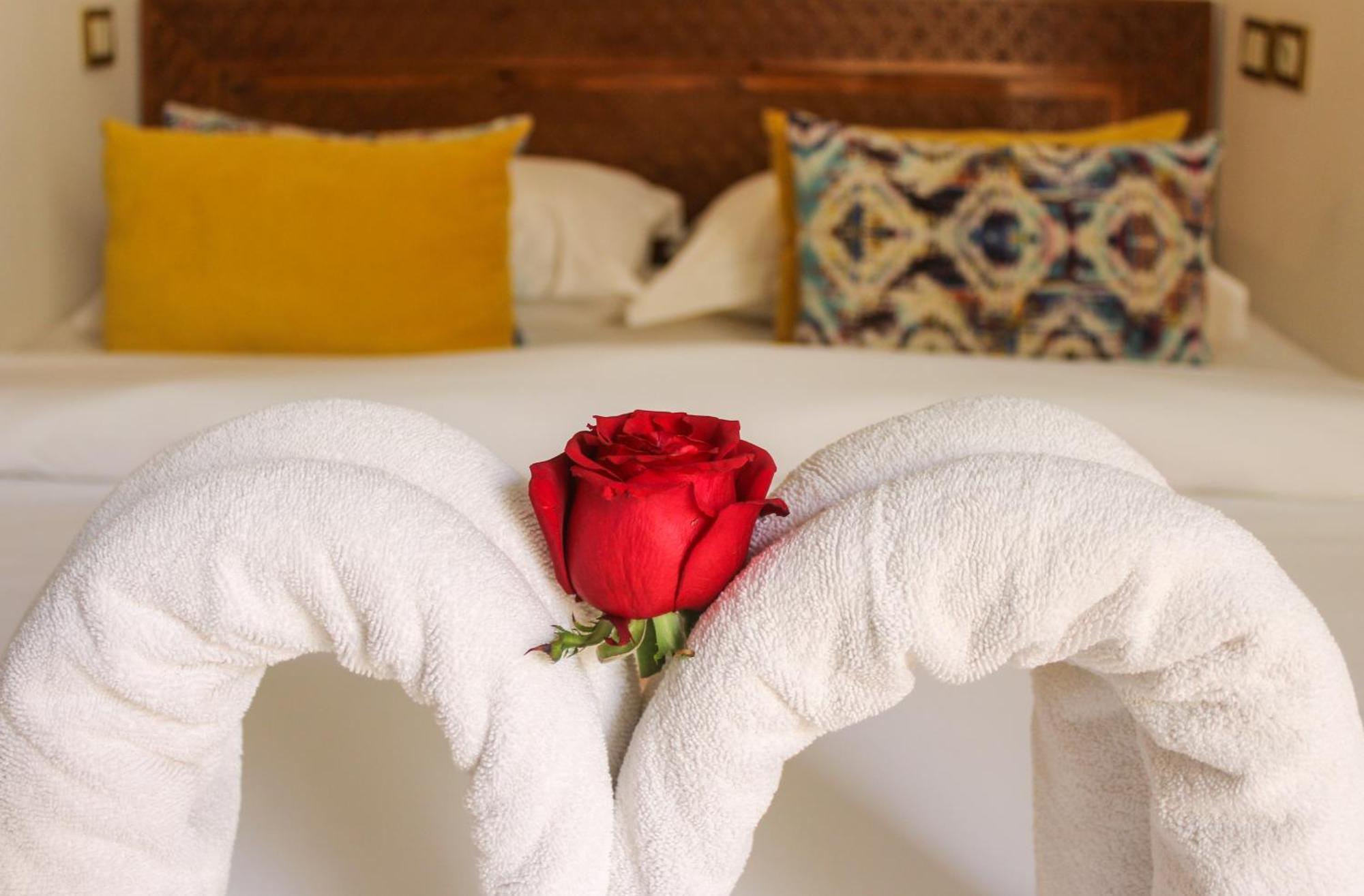 رياد Matins De Marrakech مراكش